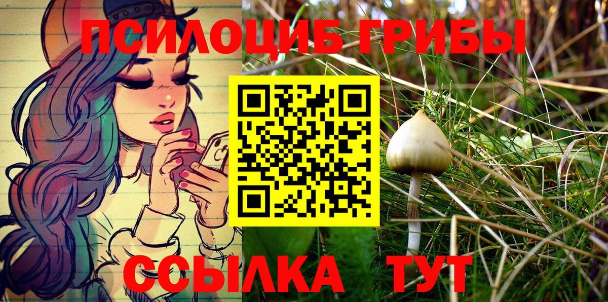 Псилоцибиновые грибы ЛСД Волгодонск